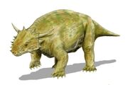 Elginia Mirabilis