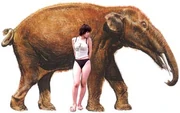 Gomphotheriumsize