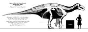 Iguanodon bernissartensis skeletal reconstruction by randomdinos de4jnju-fullview