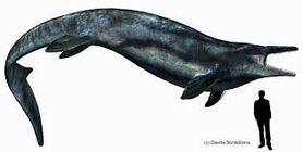 Mosasaur-0.jpg