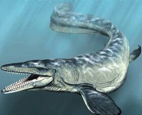 1-mosasaur