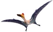 PterodactylusInfobox