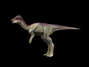 Life reconstruction of Taveirosaurus