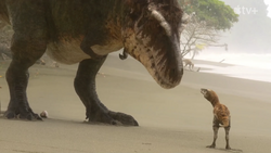 In All of Time, 2.5 Billion Tyrannosaurus Rexes Have Roamed Earth, Smart  News