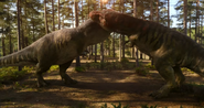 Tyrannosaurus pair displaying affection