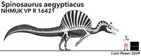 NHMUK Specimen by Liam Power Beagliam