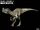 Ornitholestes