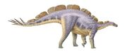 Wuerhosaurus2