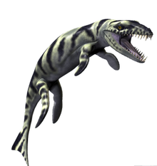 DakosaurusInofobox.png