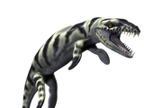 Dakosaurus