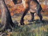 Chalicotherium