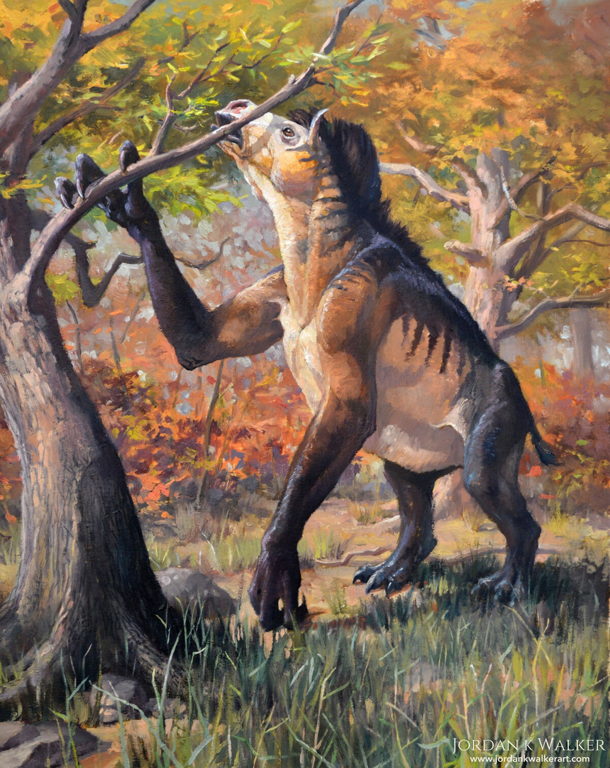 Chalicotherium Dinopedia Fandom 