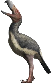 Devincenzia | Dinopedia | Fandom