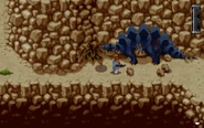 Stegosaurus