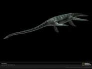 Styxosaurus-side-lw 036d.jpg (31 KB)