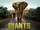 GIANTS