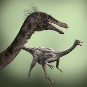 Gallimimus 01