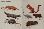 Primitive mammal collection.png (486 KB)