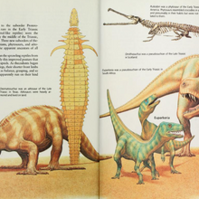 Oqnbuji4ijrtum Amphibian (1) chasmatosaurus climate change (1) dessert (1) dimetrodon (1) dinosaur (1) euparkeria (1) fang (1) gorgonopsid (1) labyrinthodont (1) lystrosaurus (1) migrating herd (1). https dinopedia fandom com wiki chasmatosaurus
