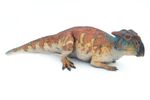 Bagaceratops 4a37