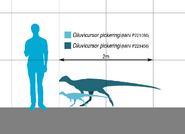 Diluvicursor Scale.svg