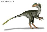 Guanlong new