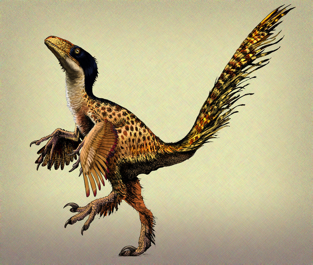 Hesperonychus | Dinopedia | Fandom