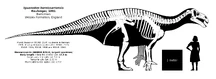 Skeletal reconstruction of Iguanodon by randomdinos