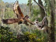 Velizar Simeonovski - Madagascar Crowned eaglen Stephanoaetus mahery attacks subadult sloth- lemur Palaeopropithecus ingens Early Holocene Madagascar