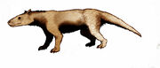 1024px-Massetognathus