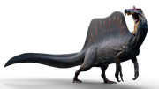 Spinosaurus 5