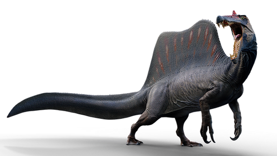 Rei dinossauro Parasaurolophus Ouranosaurus Spinosaurus