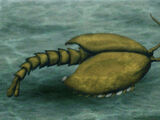 Waptia