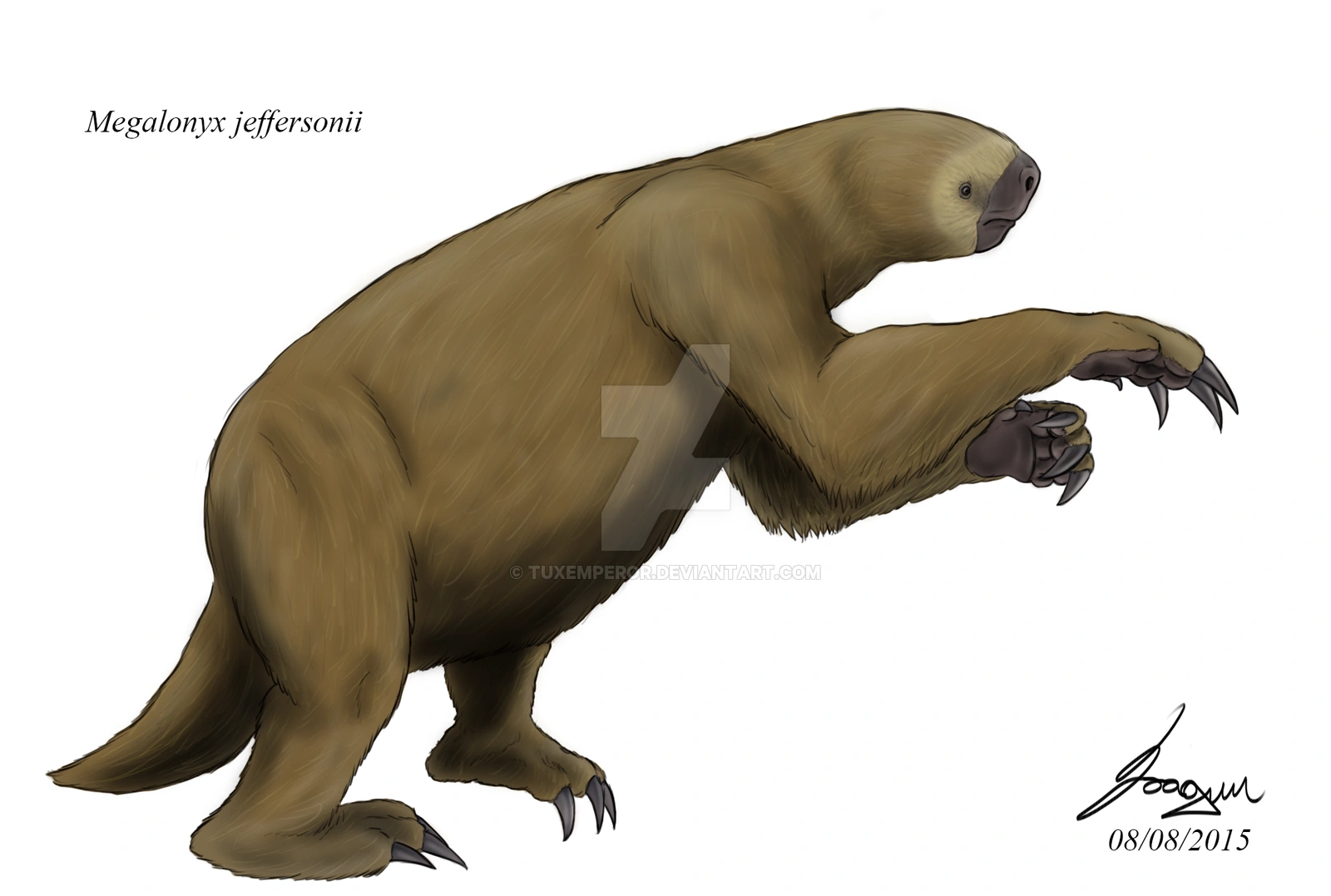 Megalonyx Dinopedia Fandom