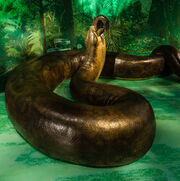 Titanoboa-exhibit-nmnh