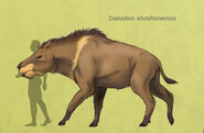 General size comparison to average human