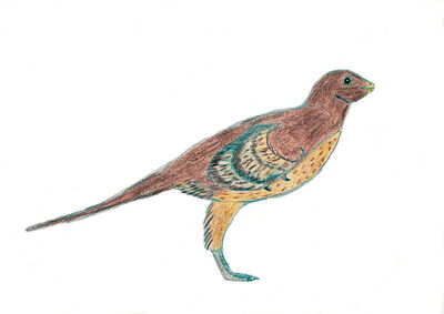 Eosinopteryx