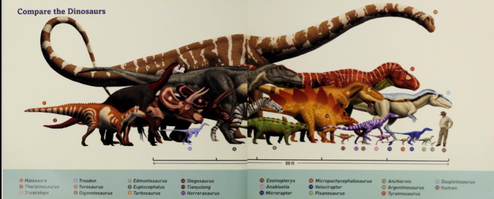 Micropachycephalosaurus | Dinopedia | Fandom