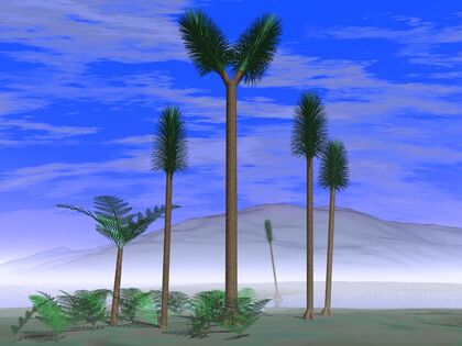 Sigillaria tree