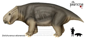 Dolichuranus etionensis.