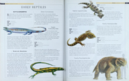 Early Reptiles 1