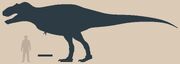 DanRexy