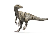 Herrerasauridae