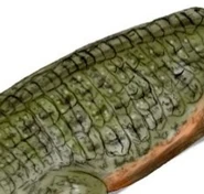 20190905 023731.jpg (35 KB) Temnospondyl skin.