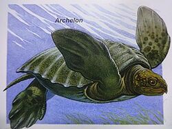 Archelon Gallery Dinopedia Fandom