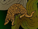 Eomanis