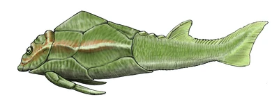 Pterichthyodes milleri by Andrewsarchus89