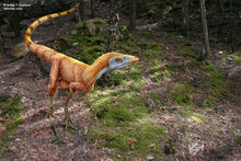 Sinosauropteryx in true colors julius t csotonyi