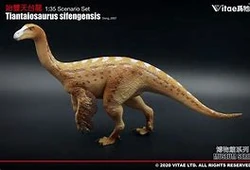 Tiantaisaurus Vitae