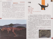 Chinese Megalosaurus and Titanosaurus